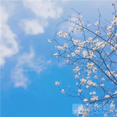 热血都市加速版下载
